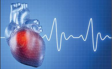 Программа «Здоровое сердце — Стандарт»